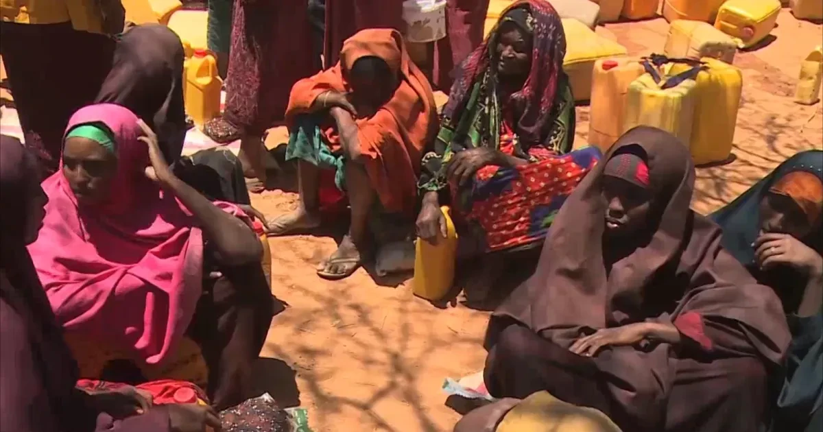 مأساة إنسانية في بيدوا: 700 ألف نازح يواجهون الجوع والعطش وسط تراجع الدعم الدولي