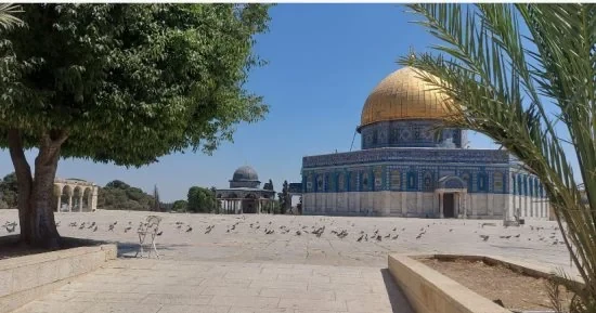 اقتحام الأقصى: الموقف اليمني الحاسم ضد انتهاكات بن غفير